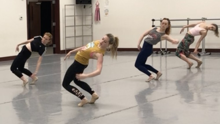 The Georgia Dance Theatre