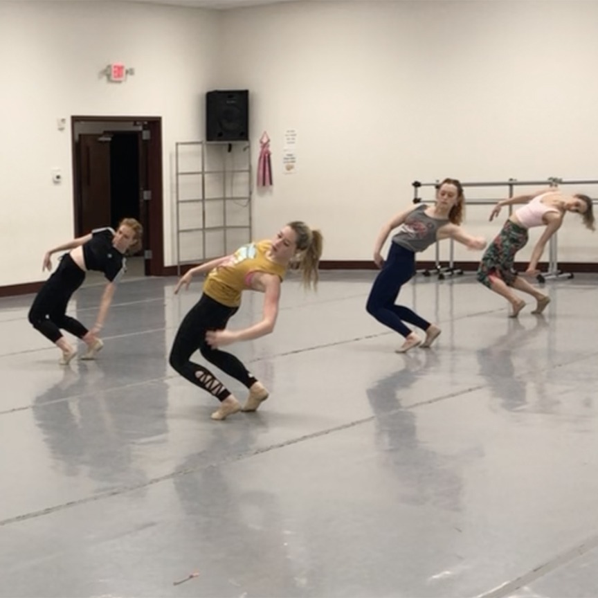 The Georgia Dance Theatre