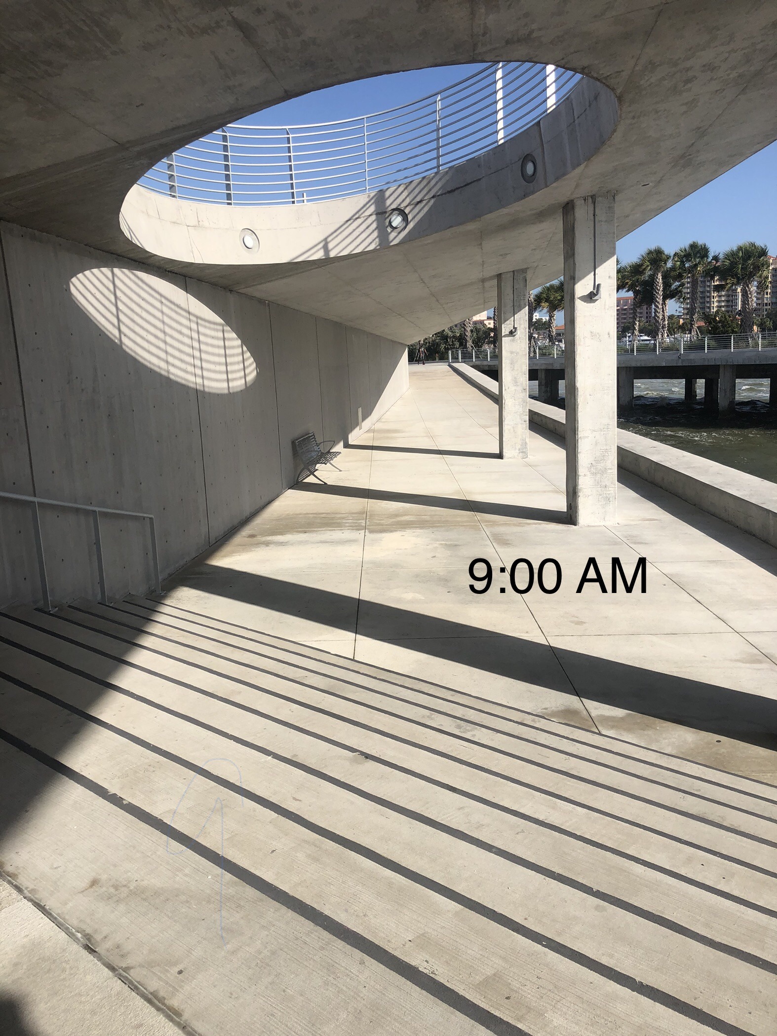 The St. Petersburg Pier